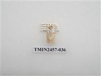 藏品(二斑叉紋苔蛾)的圖片